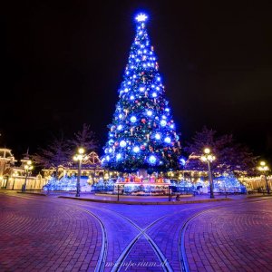 DLP Xmas 2017 - 003