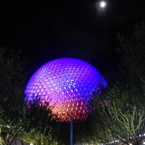DSCN5544