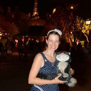 EPCOT IGFRLOWBRIDGEICON 20170925 405075397584