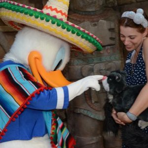 EPCOT WSMEX 20170924 405072807156
