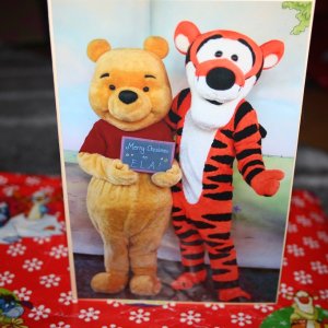 Ein wunderbarer persönlicher Gruß von Winnie und Tigger