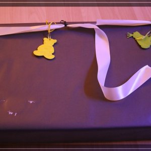 comp IMG 5063