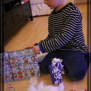 comp IMG 5092