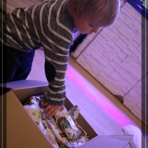 comp IMG 5103