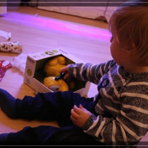 comp IMG 5106