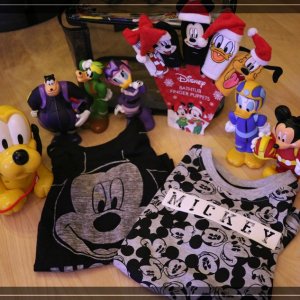comp IMG 5114