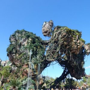 DSCN4849
