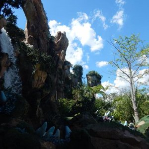 DSCN5142