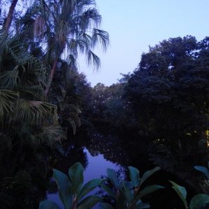 DSCN5186