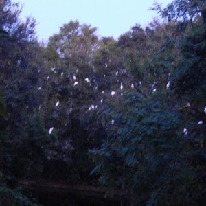 DSCN5187