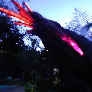 DSCN5192