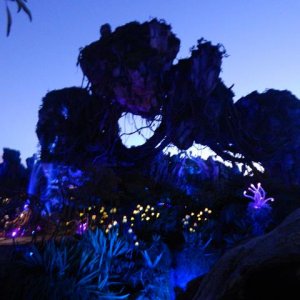 DSCN5204