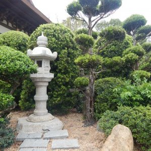DSCN5266