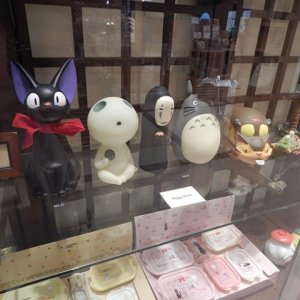 DSCN5269