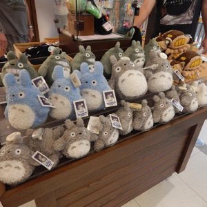 DSCN5270