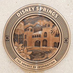DSCN5334
