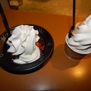 DSCN5419