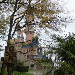 k P1010634