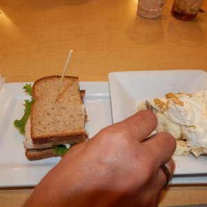 DSCN5481