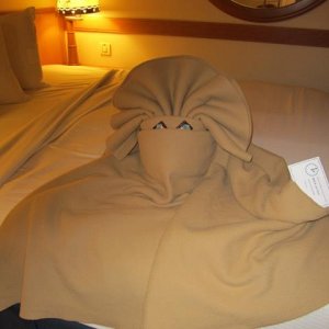 IMG 0160