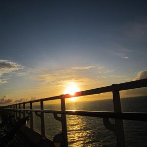 IMG 0218