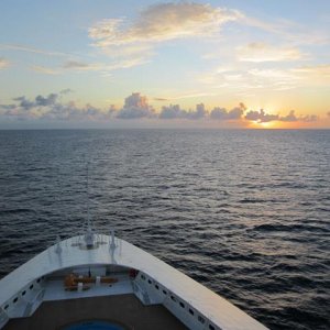 IMG 0229