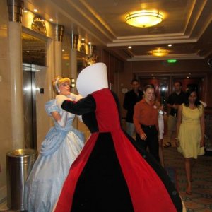 IMG 0282