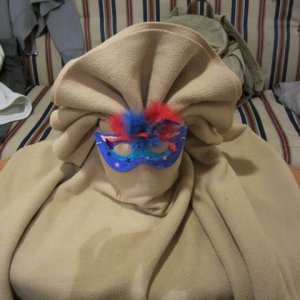 IMG 0284