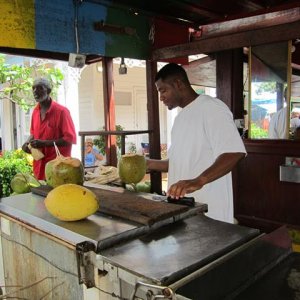 IMG 0344