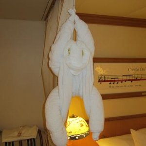 IMG 0496