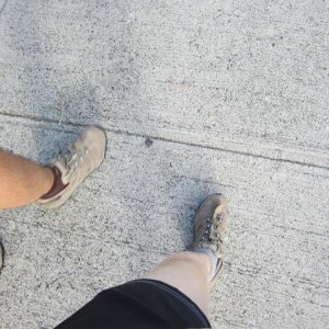 IMG 0517