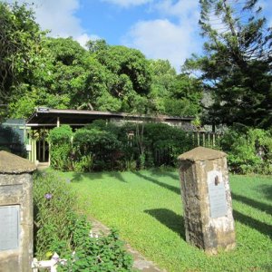 IMG 0530