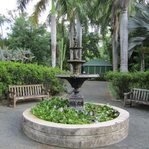 IMG 0531