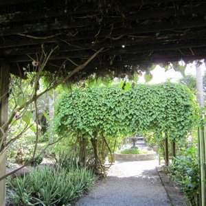 IMG 0559