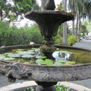 IMG 0562