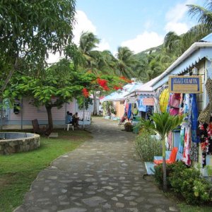 IMG 0569