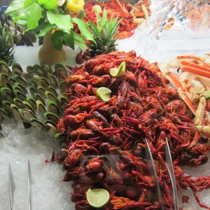 IMG 0670