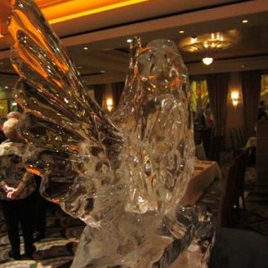 IMG 0726