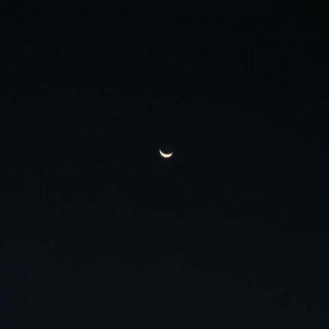 IMG 0909