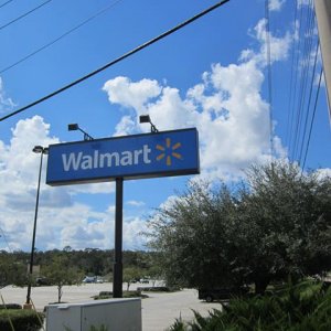 IMG 0995