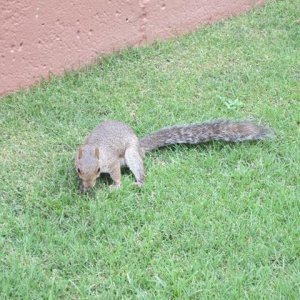 IMG 1343