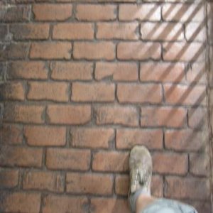 IMG 1494