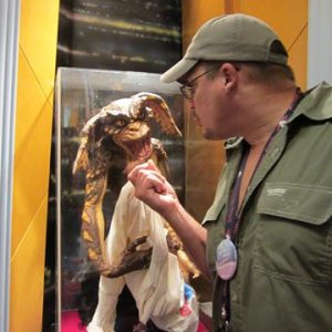 IMG 1734