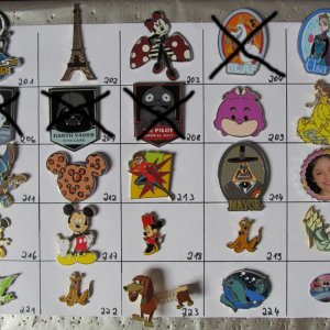 Pins 201 bis 225