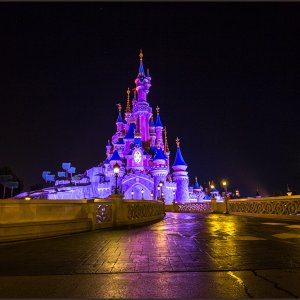 IMG 2304