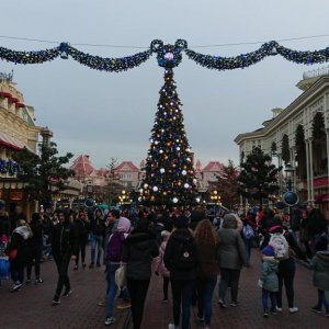 DSC 1254