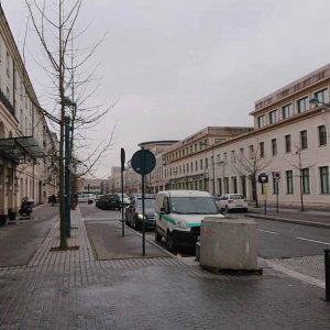 DSC 3098