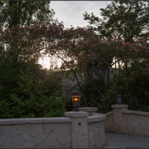 IMG 2693