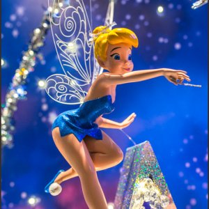 IMG 7153