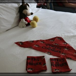 comp IMG 4552
